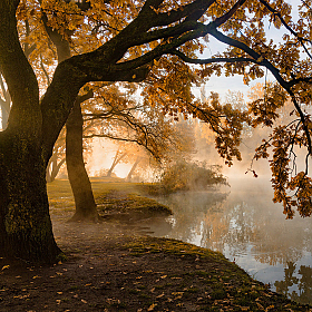 Про Осень , Свет и Туман | Фотограф Александр Плеханов | foto.by фото.бай