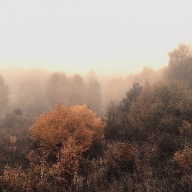 Молчаливое утро | Фотограф Сергей Ласута | foto.by фото.бай