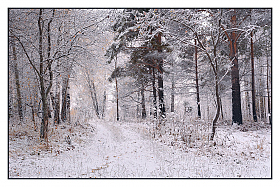 Зима не за горами | Фотограф Mihail | foto.by фото.бай
