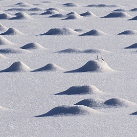 фотограф Владислав Рогалев. Фотография "снежные дюны, или под надежным покровом зимы"