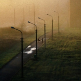 фотограф Дарья Крук. Фотография "Шагать вдвоем в утренний туман"