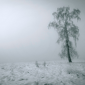 Глубокой осенью. | Фотограф Mihail | foto.by фото.бай