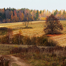 фотограф Виталий Некрашевич. Фотография "Осенние просторы белорусских полей"