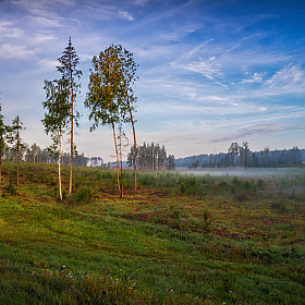 Утро в августе | Фотограф Сергей Шабуневич | foto.by фото.бай