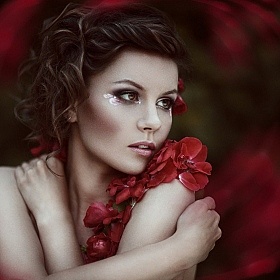 фотограф Jonny Symmetry. Фотография "roses are red"
