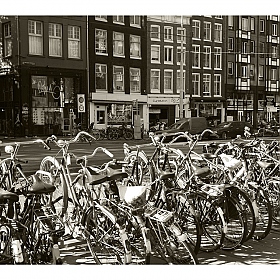 фотограф Irina Ramitsan. Фотография "Амстердам"