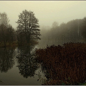 фотограф Игорь Сафонов. Фотография "осенний туман"