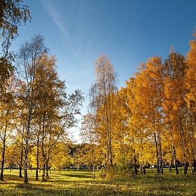 фотограф Геннадий Ignashevich. Фотография "Восеньскі парк"