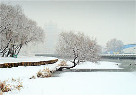 снегопад в городе | Фотограф Игорь Сафонов | foto.by фото.бай