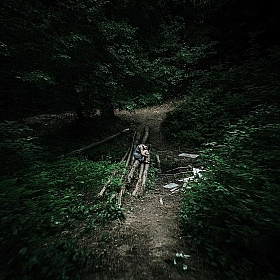 Дитя леса | Фотограф Jonny Symmetry | foto.by фото.бай