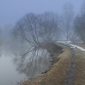 Туман над рекой | Фотограф Валерий Козуб | foto.by фото.бай