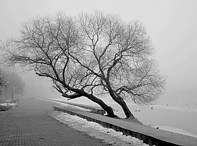 Туман | Фотограф Николай Климович | foto.by фото.бай