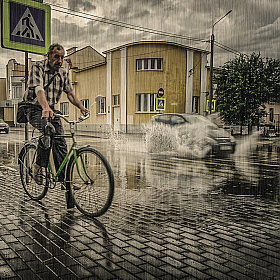 фотограф Александр Шатохин. Фотография "Просто летний дождь"