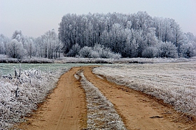Зимняя дорога | Фотограф Сергей Тарасюк | foto.by фото.бай