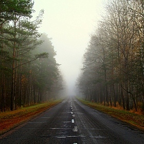 Путь | Фотограф Nadin Korolenko | foto.by фото.бай