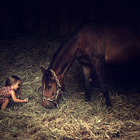 фотограф Наталья Лапковская. Фотография "Машенька и лошадка"
