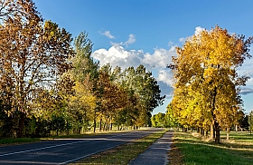 Осень пришла | Фотограф Александр Бурштын | foto.by фото.бай