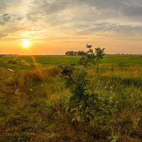 Закат с бузиной | Фотограф Александр Плеханов | foto.by фото.бай