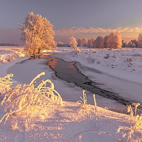 фотограф Руслан Авдевич. Фотография "Красавица зима"