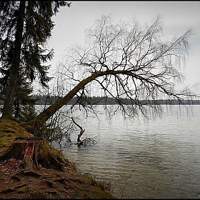 У озера Свитязь | Фотограф Диана Буглак-Диковицкая | foto.by фото.бай