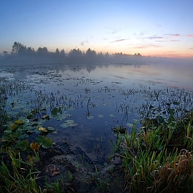 фотограф Сергей Шляга. Фотография "рассвет у лесного озера"