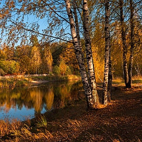 Осенний вечер | Фотограф Юрий Купреев | foto.by фото.бай