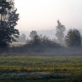 Ранним утром | Фотограф Сергей Шабуневич | foto.by фото.бай
