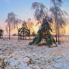 фотограф Артур Язубец. Фотография "Морозный закат"