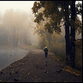 фотограф  . Фотография "Осенний марафон."