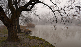 Туман у воды | Фотограф Александр Плеханов | foto.by фото.бай