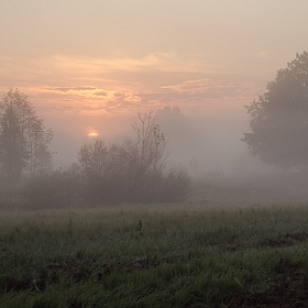 Майское утро | Фотограф Виктор Позняков | foto.by фото.бай