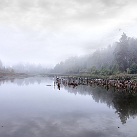 фотограф Наталья Ильясова. Фотография "Туманное утро над озером..."