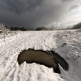 Первый снег | Фотограф Александр Плеханов | foto.by фото.бай