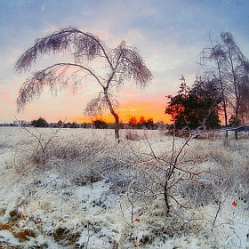фотограф Артур Язубец. Фотография "Морозный ноябрь"