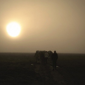 фотограф Михаил Климкович. Фотография "В утреннем тумане"