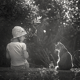 Потревоженная беседа. | Фотограф Irina Osm | foto.by фото.бай