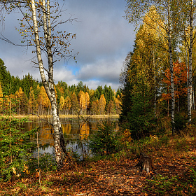 фотограф Виталий Полуэктов. Фотография "красочная осень"