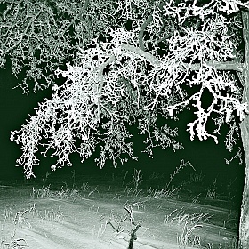 ночной занавес | Фотограф Nata Malygina | foto.by фото.бай
