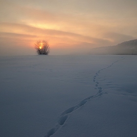 В зимнее утро | Фотограф Сергей Шляга | foto.by фото.бай