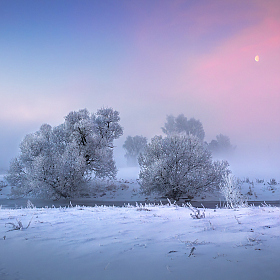 Зимнее утро | Фотограф Сергей Шабуневич | foto.by фото.бай