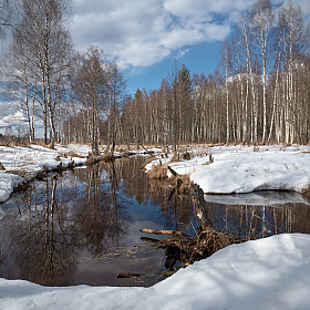 весна | Фотограф Виталий Полуэктов | foto.by фото.бай