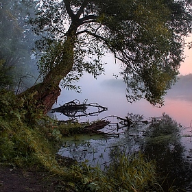 Про утро на реке | Фотограф Сергей Шабуневич | foto.by фото.бай