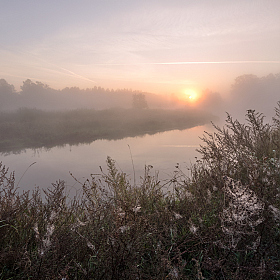 фотограф Олег Яскевич. Фотография "утро на реке Орессе..."