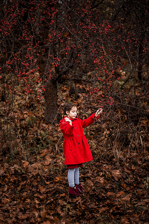 Фотограф Татьяна Полоневич, фотография добавлена 10.11.2017