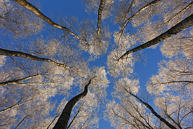 Лестница в небо | Фотограф Сергей Тарасюк | foto.by фото.бай
