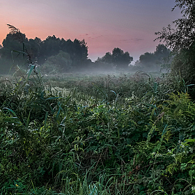 Перед рассветом | Фотограф Александр Шатохин | foto.by фото.бай