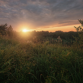 На закате | Фотограф Олег Фролов | foto.by фото.бай