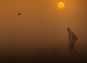 Чудесное утро | Фотограф Андрей Величкевич | foto.by фото.бай
