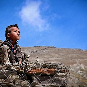 фотограф Наталья Лихтарович. Фотография "Взгляд на свободный Тибет"