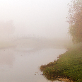 Утренний туман | Фотограф Александр Шиляев | foto.by фото.бай